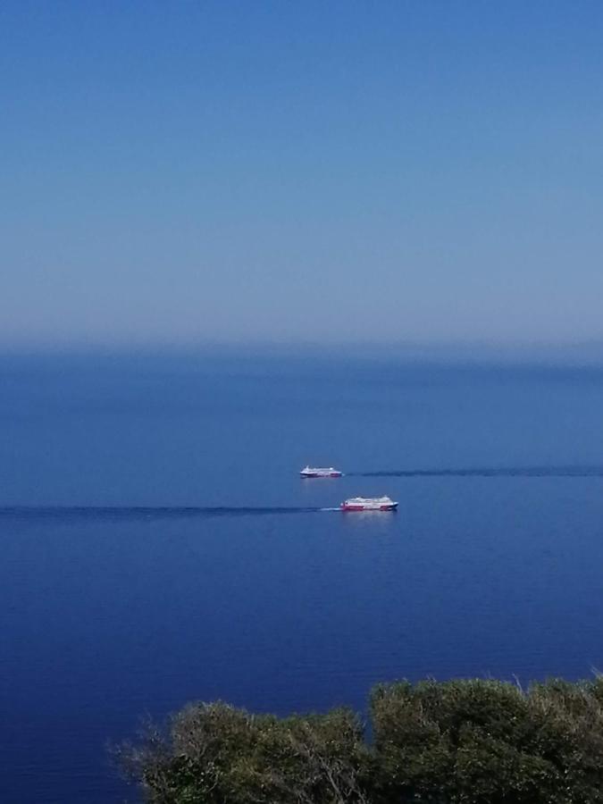 Aegean Deep Blue Andros Ano Aprovato公寓 外观 照片